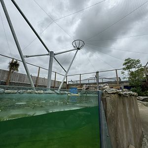 Penguin Enclosure at Woodside Wildlife Park (May 2024)