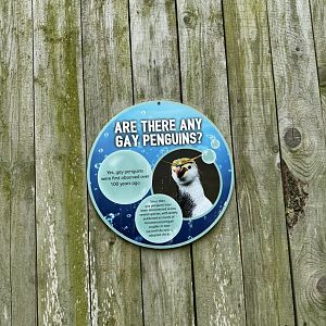 Gay Penguin Sign at Woodside Wildlife Park (May 2024)