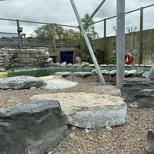 Penguin Enclosure at Woodside Wildlife Park (May 2024)
