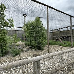 Siberian Lynx Enclosure at Woodside Wildlife Park (May 2024)