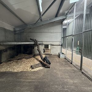 Tiger Indoor Enclosure at Woodside Wildlife Park (May 2024)