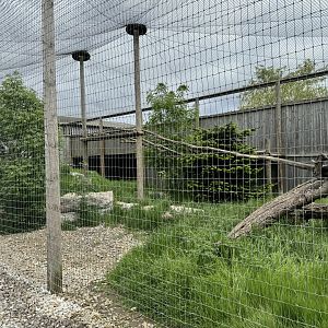 Siberian Lynx Enclosure at Woodside Wildlife Park (May 2024)