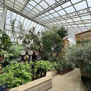 Butterfly House Interior at Woodside Wildlife Park (May 2024)