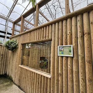 Pied Tamarin Indoor Encosure at Woodside Wildlife Park (May 2024)
