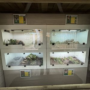 Reptile Exhibits at Woodside Wildlife Park (May 2024)