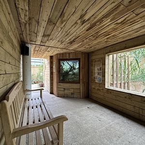 Crocodile Viewing Area at Woodside Wildlife Park (May 2024)