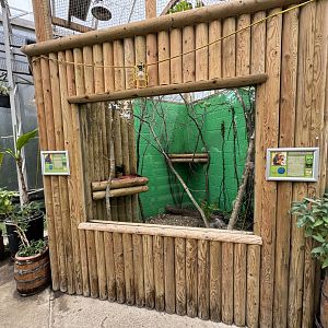 Coppery Titi Monkey / Golden-headed Lion Tamarin Indoor Enclosure at Woodside Wildlife Park (May 2024)