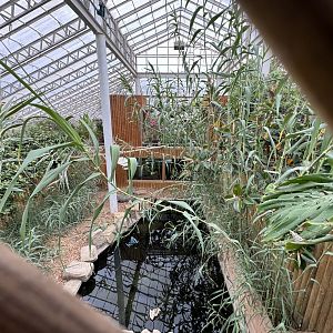 Siamese Crocodile Enclosure at Woodside Wildlife Park (May 2024)