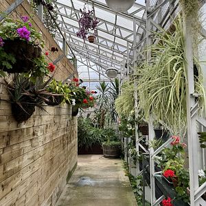 Butterfly House Interior at Woodside Wildlife Park
