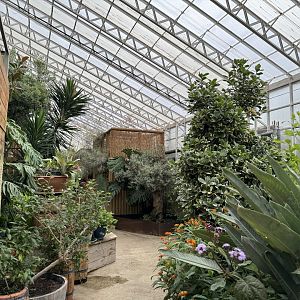 Butterfly House Interior at Woodside Wildlife Park