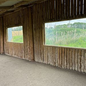 Tiger Viewing Area at Woodside Wildlife Park (May 2024)
