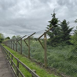 Hudson Bay Wolf Enclosure at Woodside Wildlife Park (May 2024)