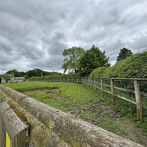 Capybara / South American Tapir Enclosure at Woodside Wildlife Park (May 2024)