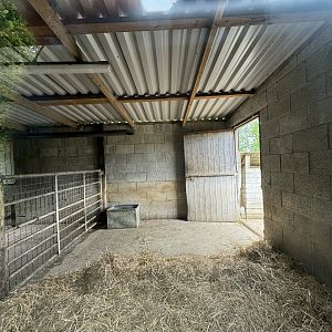 Capybara / Tapir House at Woodside Wildlife Park (May 2024)