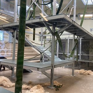 Chimpanzee Culture Center