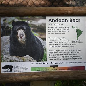 June 2024 - Andean Bear Signage