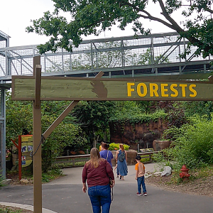 Jun. 2024 - Forests Entrance With Chimpanzee Walkway