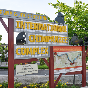 Jun. 2024 - International Chimpanzee Complex - 3D Map