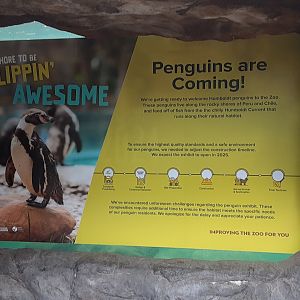 Penguins Coming Soon- Updated Signage