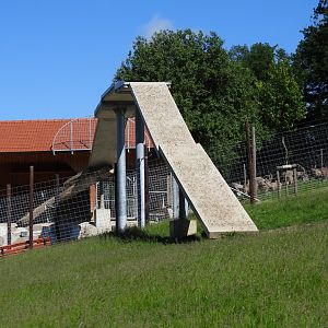 Overhead bridge for alpine ibex - Wildpark Hochriess