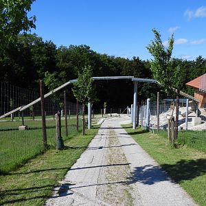 Overhead bridge for alpine ibex - Wildpark Hochriess