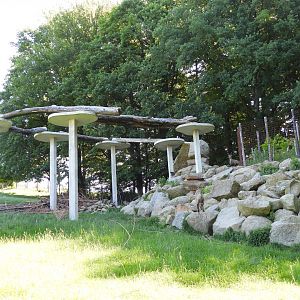 Climbing structure for alpine ibex - Wildpark Hochriess
