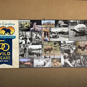 50th anniversary banner on Watani Restrooms