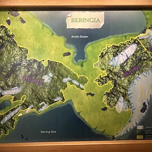 Beringia Map