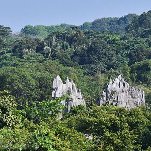 Rainforest Wild Asia - Limestone Pinnacles (under construction)