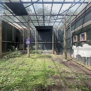 Former Variegated Spider Monkey Exhibit