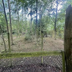 Space Being Cleared Near Tapirs