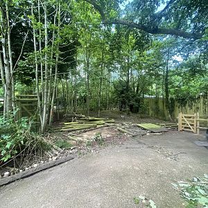 Space Being Cleared Near Tapirs