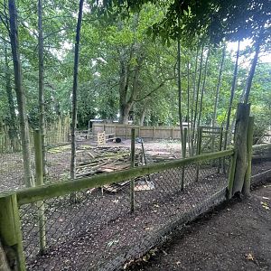 Space Being Cleared Near Tapirs