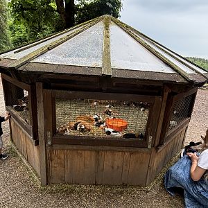 Guinea Pig Enclosure at Wildpark Poing