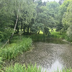 Stork Enclosure at Wildpark Poing