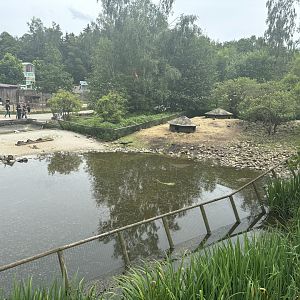 Nutria Enclosure Wildpark Poing