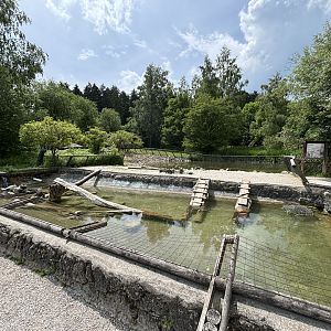 Nutria Enclosure Wildpark Poing