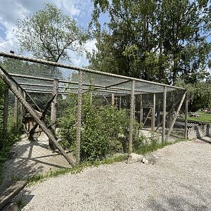Raccoon Enclosure at Wildpark Poing
