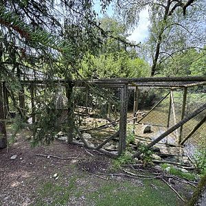Raccoon Enclosure at Wildpark Poing