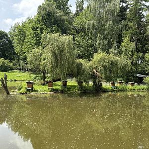 Beehives at Wildpark Poing