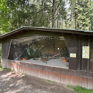 Basic Aviary at Wildpark Poing