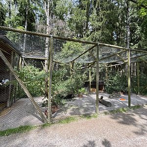 Eurasian Pheasant Enclosure at Wildpark Poing