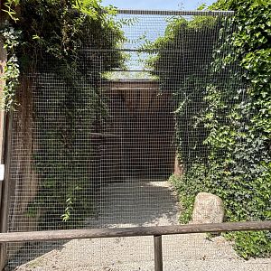 Steller’s sea eagle aviary at Wildpark Poing