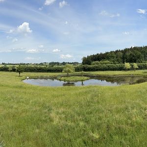 Moose Enclosure at Wildpark Poing