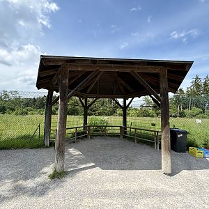 Bear Viewing Area at Wildpark Poing