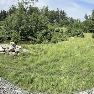 Bear Enclosure at Wildpark Poing