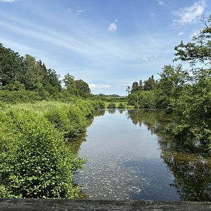Bear Enclosure at Wildpark Poing