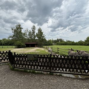 Donkey Enclosure at Wildpark Poing