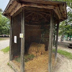 Rabbit Enclosure at Wildpark Poing