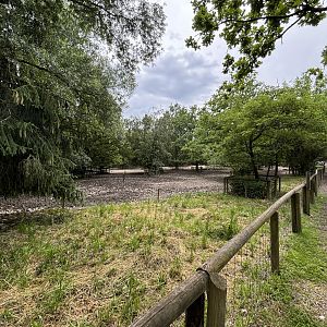 Wild Boar Enclosure at Widlpark Poing